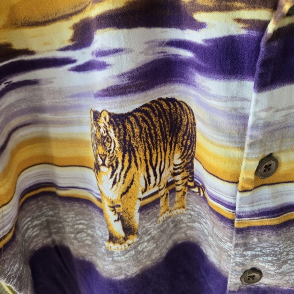 LSU 🐯🏈🏀⚾️ - Picture 6 of 7